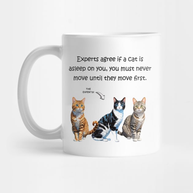 Experts agree if a cat is asleep on you, you must never move until they move first - funny watercolour cat design by DawnDesignsWordArt